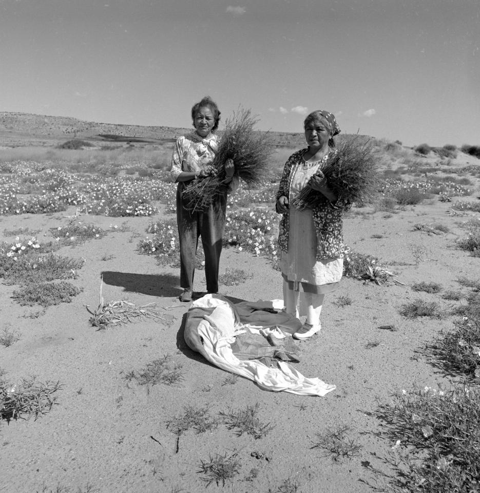 Treva Burton and Bessie Monongye holding large bundles of sivÃ¡api (rabbitbrush)
